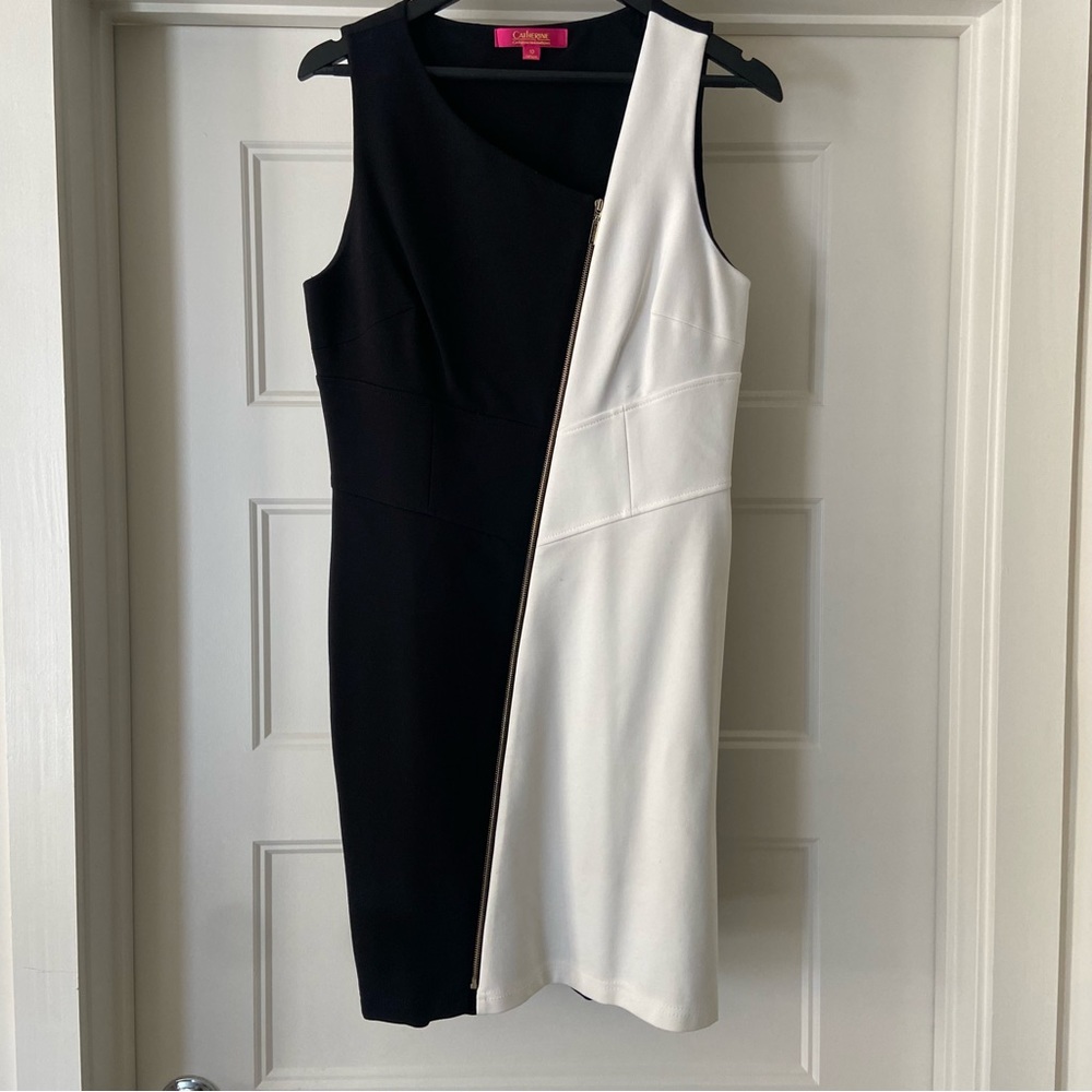 Women’s sleeveless zip front dress